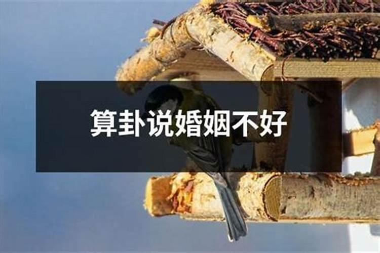 梦见前妻来找我的预兆