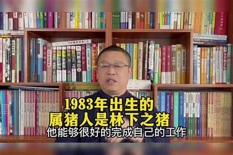 83年11月的猪是什么命 83年猪40岁后十年大运运程