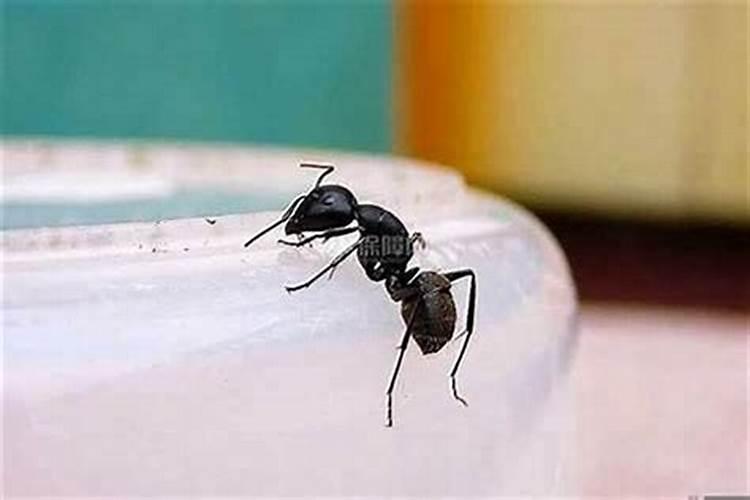 什么样的八字的女性会嫁得好