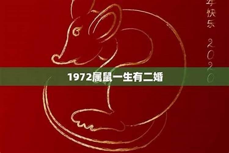 1984年属鼠的男人是什么命人 一生命运如何？