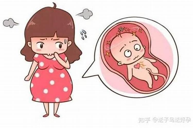 狗生肖在鼠年运势,1970年属狗在鼠年的运势