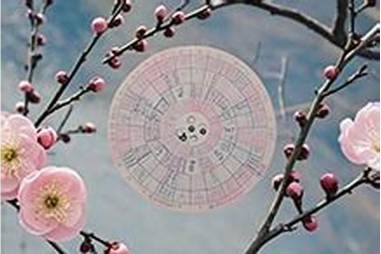 梅花易数和四柱八字那个好学