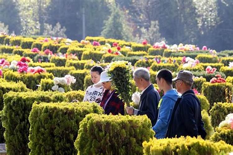 清明节的习俗主要有哪些
