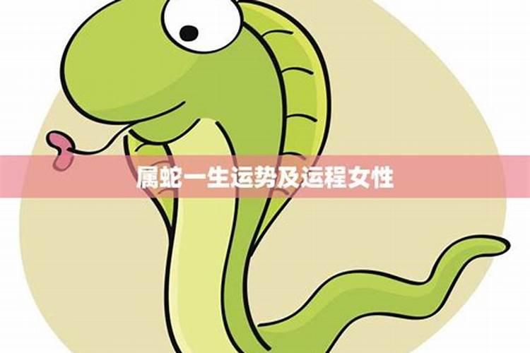 属蛇和属蛇的夫妻结局
