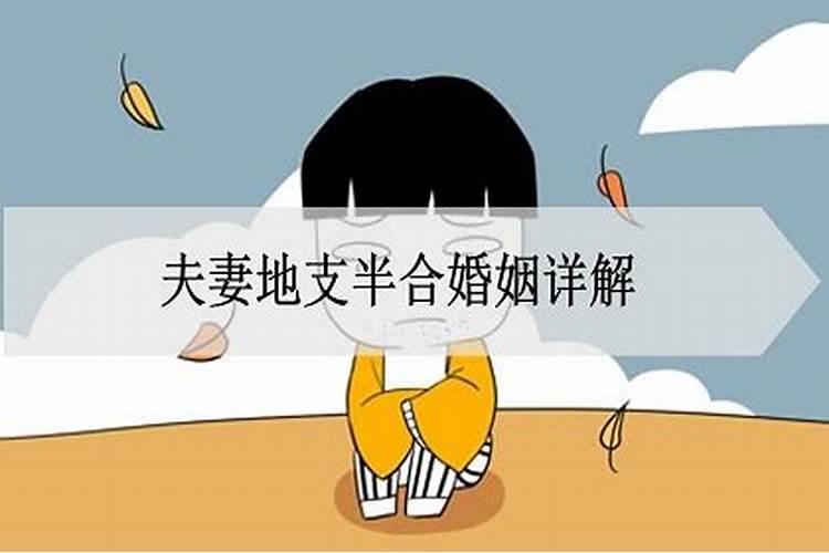 太岁锦囊里面有什么东西