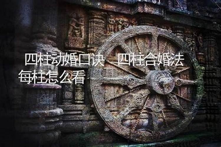 八字合婚哪柱最重要四柱怎么合？