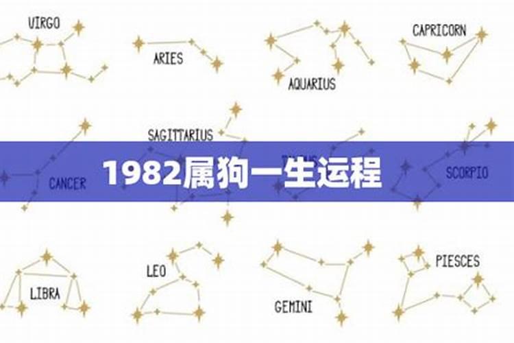 1982年属狗是什么命一生灾难年龄是几岁