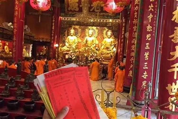 北方家里养什么花草最旺财