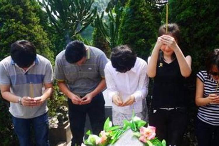 铁树在根部发的芽,是否可以移植？发现其根部无根须,能否种活？