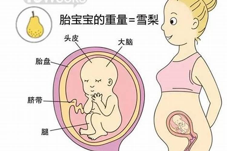孕妇梦见涨水生男生女