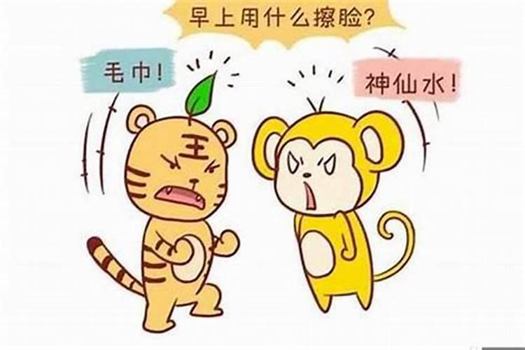 男属猪,女虎合婚吗？