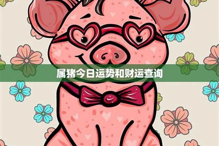 生肖猪2025年运势 属猪2025年运势及运程