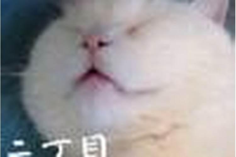 梦到的人到底是谁在想谁,是什么预兆？