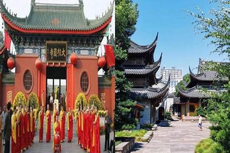 木命适合做什么行业最佳