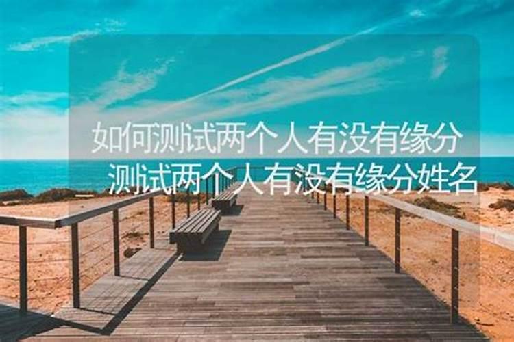 2025年犯太岁蛇带什么吉祥物