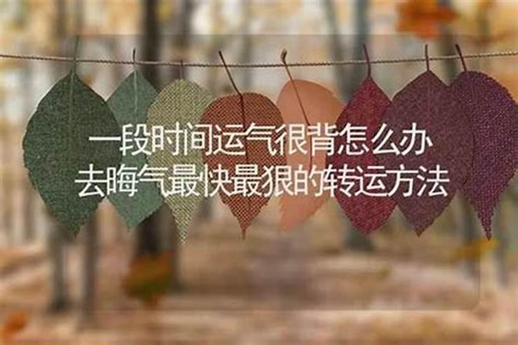 扫墓祭祖的正确方法 这些注意事项一定要知道