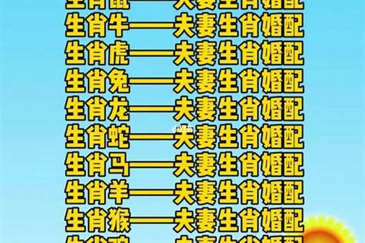鼠年犯太岁的属相 属鼠犯太岁化解方法