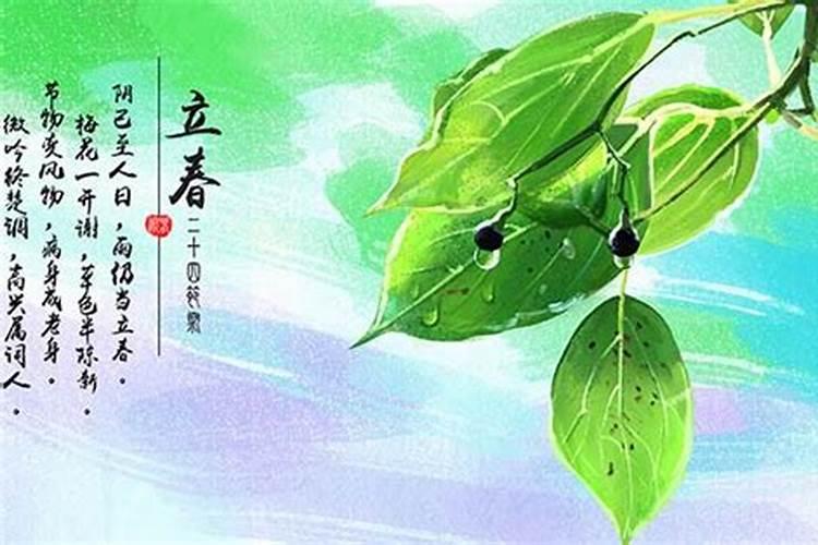 立春吃什么运气最好最旺