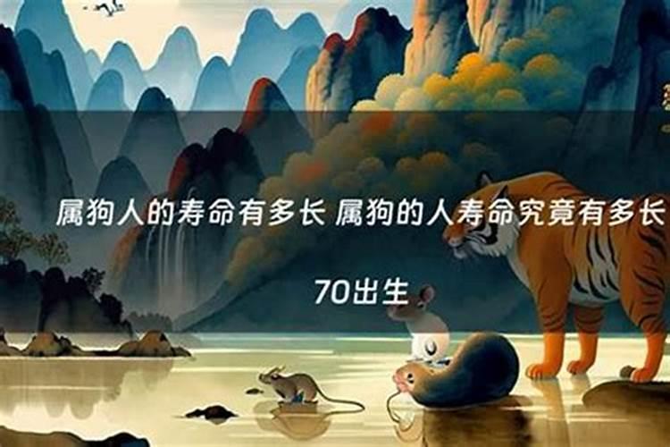 2026年属狗人的全年运势详解