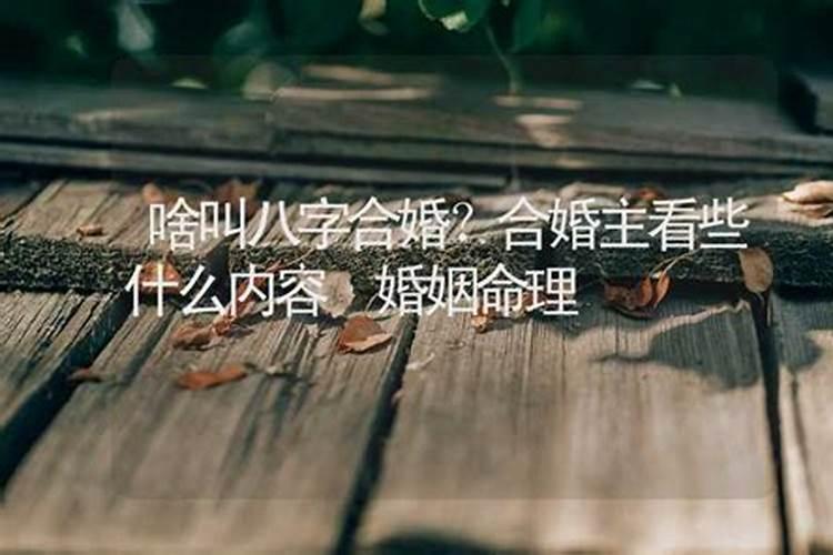 八字合婚有什么原则,注意事项有哪些？