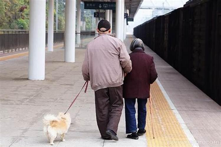 79年属羊今年冲太岁怎么化解,怎样化解冲太岁
