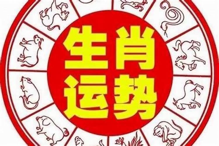 梦见骑电动车有什么预示
