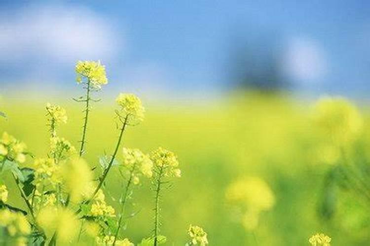 农历七月十五出生的人是不是鬼节出生的人运气很差