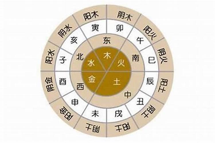 野生太岁多少钱一克
