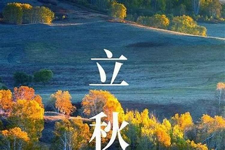 属蛇2023年下半年运势及运程详解