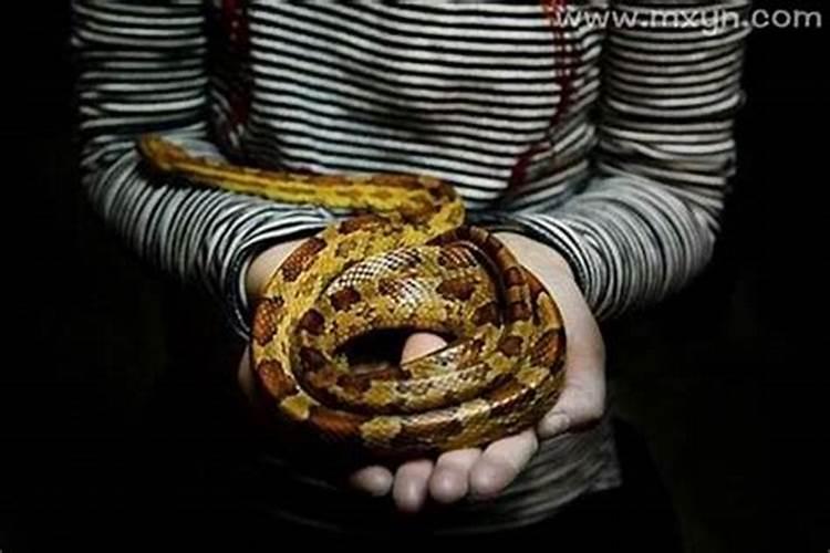 梦见我姐姐结婚是什么意思,梦到姐姐出嫁什么预兆