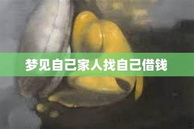 猪和牛的属相合不合 在一起好吗
