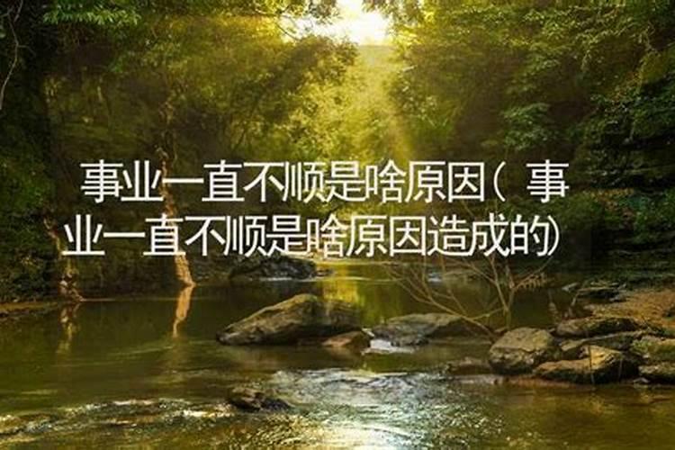 事业不顺怎么转转运