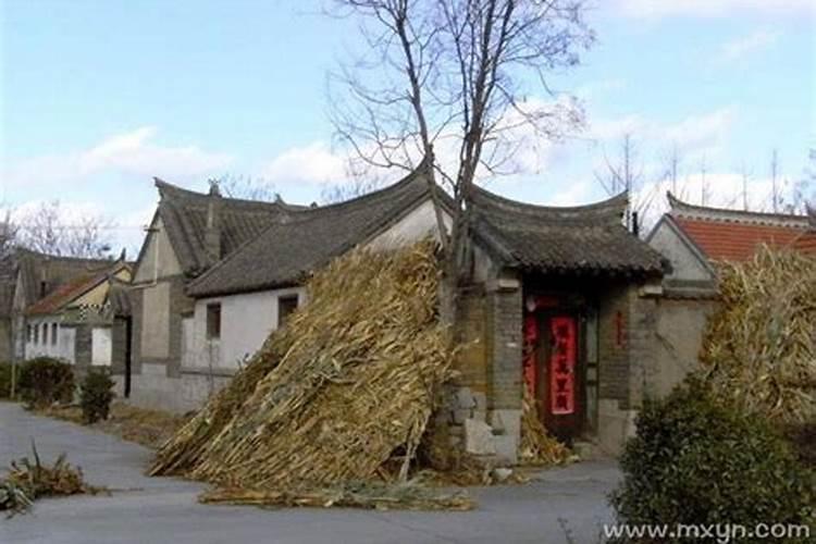 梦见狮子进家里是什么预兆
