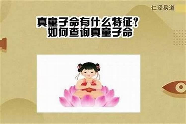 八字算命中的伤官是什么意思