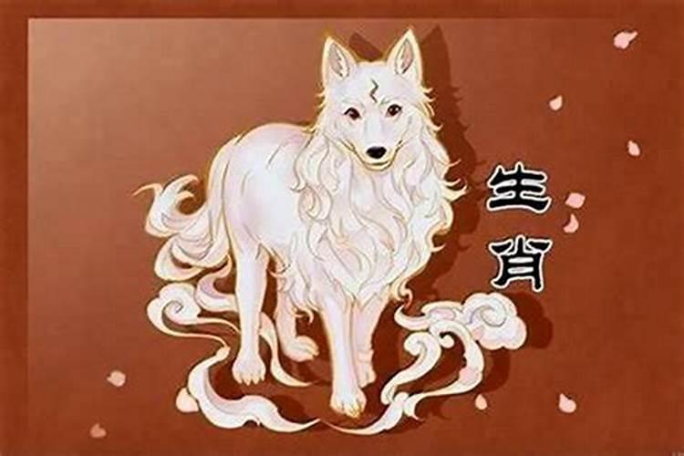 70年属狗的哪年走大运