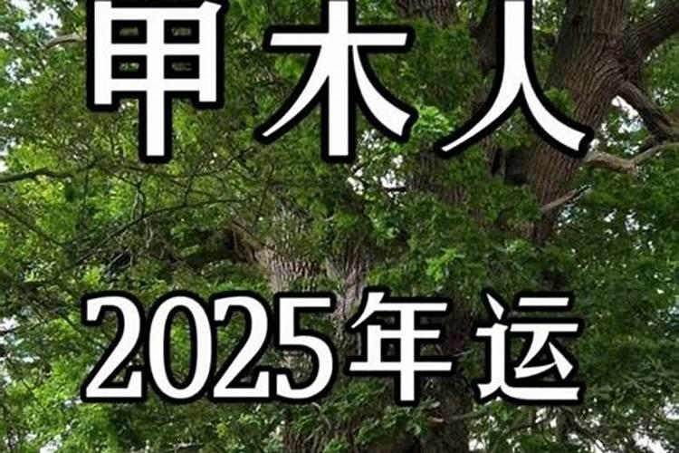 1969年属鸡女2024年全年运势及每月运势