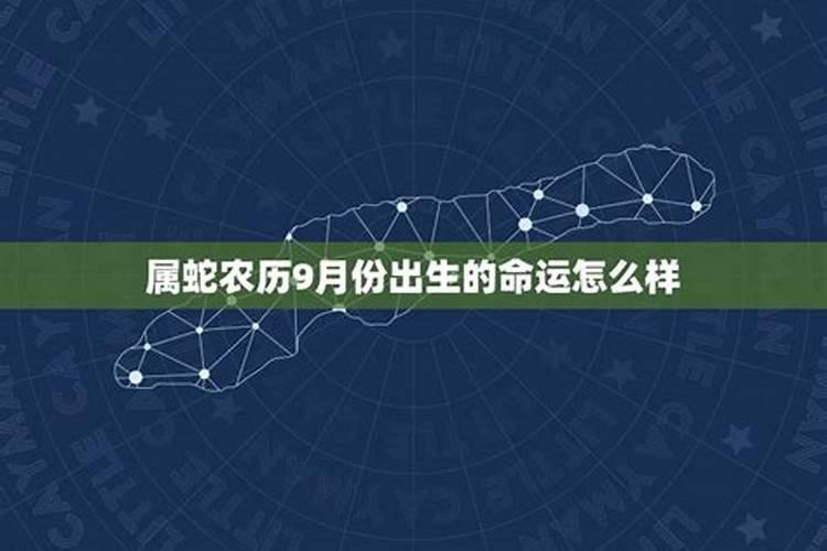 农历12月蛇的一生,蛇十二月生日命运