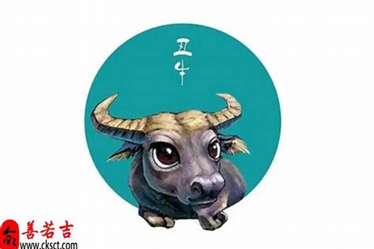 想去南京烧香,南京有哪些寺庙？地址在哪？