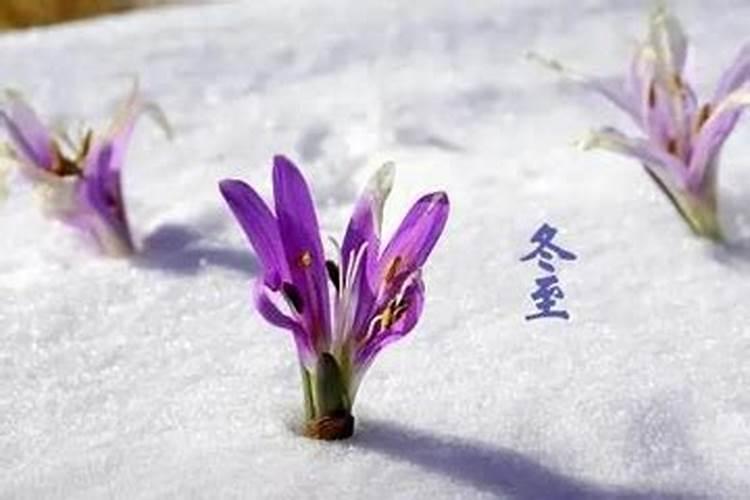 如何化解不好的婚姻风水,如何消除不好的婚姻风水