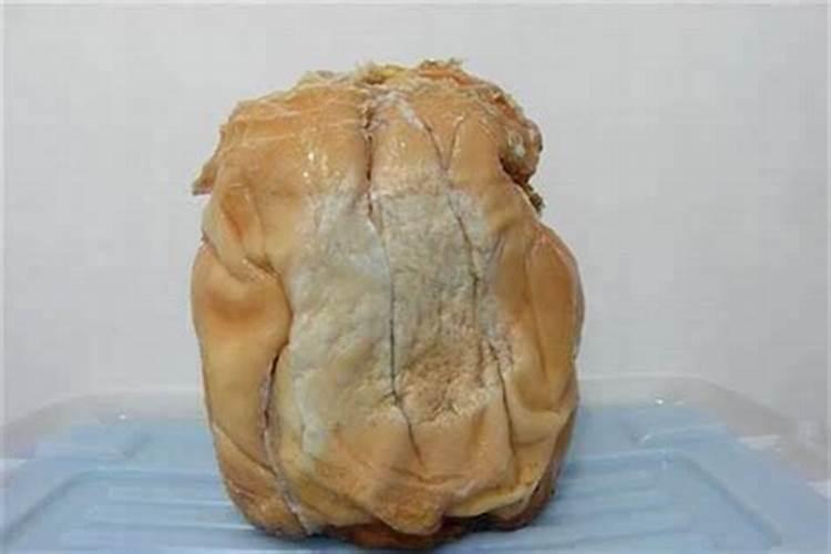 石太岁是什么东西