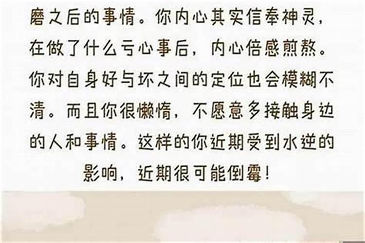 82年是什么星座