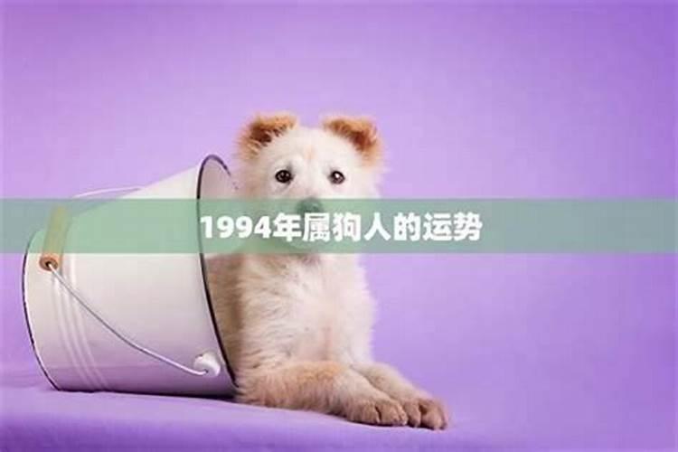 1994年属狗女2025年运势