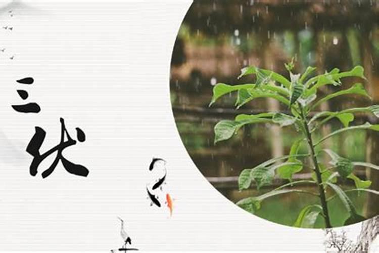 86年属虎2025年属虎人的全年运势