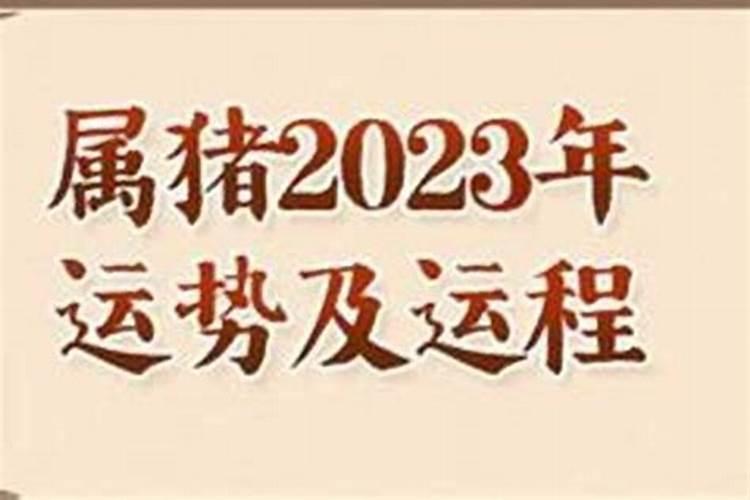 2025属猪人的全年每月运势