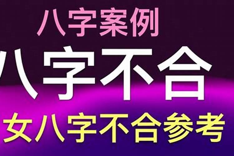 属相不合但是命合的夫妻好吗 八字合属相不合可不可以结婚？