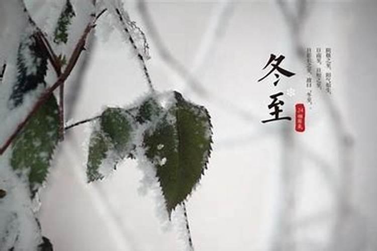 78年属马2025年运势如何