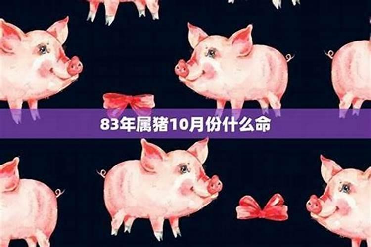 属猪八月出生的命运如何会不会成功