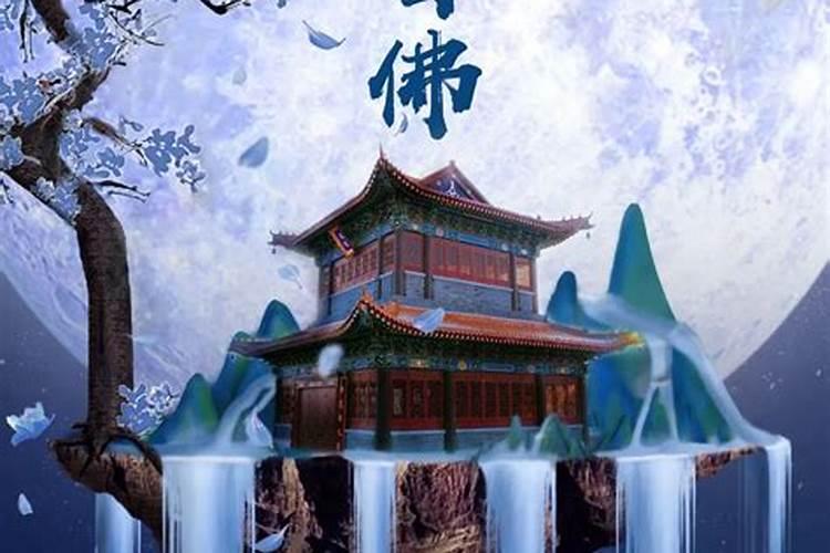 梦见很大的乌龟的预兆