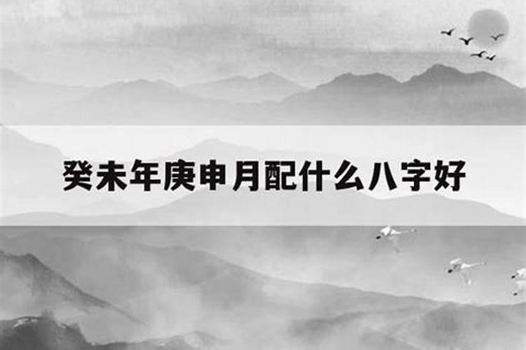 1981年属鸡的男人2025年运势如何