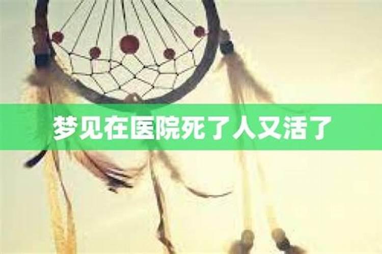 如何判断自己是金木水火土命